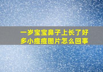 一岁宝宝鼻子上长了好多小痘痘图片怎么回事