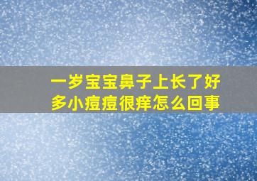 一岁宝宝鼻子上长了好多小痘痘很痒怎么回事