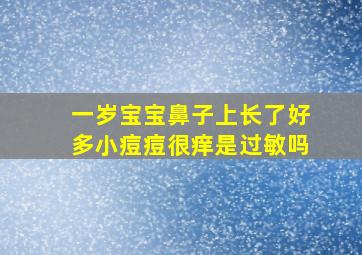 一岁宝宝鼻子上长了好多小痘痘很痒是过敏吗