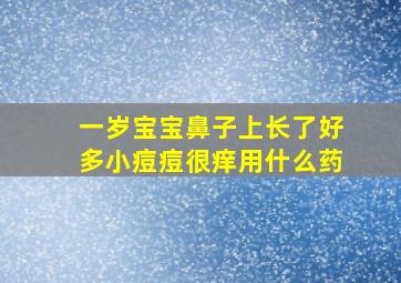 一岁宝宝鼻子上长了好多小痘痘很痒用什么药