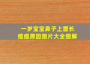 一岁宝宝鼻子上面长痘痘原因图片大全图解