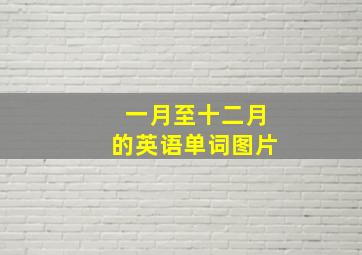 一月至十二月的英语单词图片