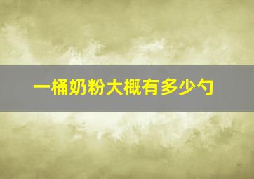 一桶奶粉大概有多少勺