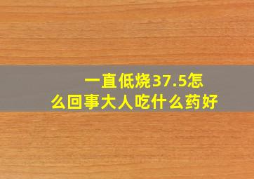 一直低烧37.5怎么回事大人吃什么药好