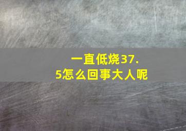 一直低烧37.5怎么回事大人呢