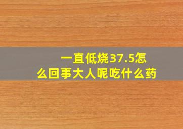 一直低烧37.5怎么回事大人呢吃什么药