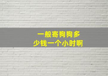 一般寄狗狗多少钱一个小时啊