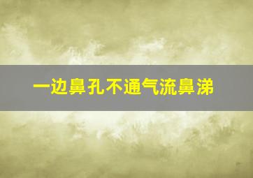 一边鼻孔不通气流鼻涕