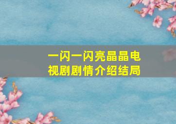 一闪一闪亮晶晶电视剧剧情介绍结局