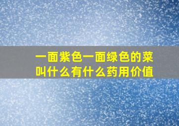 一面紫色一面绿色的菜叫什么有什么药用价值