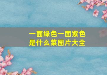 一面绿色一面紫色是什么菜图片大全