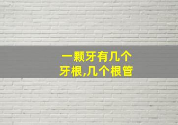 一颗牙有几个牙根,几个根管