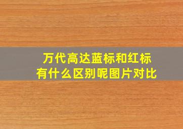 万代高达蓝标和红标有什么区别呢图片对比