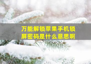 万能解锁苹果手机锁屏密码是什么意思啊