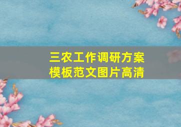 三农工作调研方案模板范文图片高清