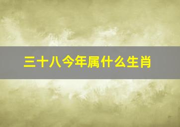 三十八今年属什么生肖