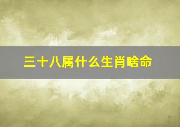 三十八属什么生肖啥命