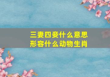 三妻四妾什么意思形容什么动物生肖