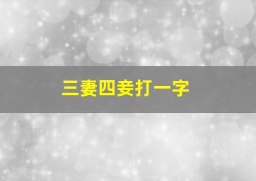 三妻四妾打一字