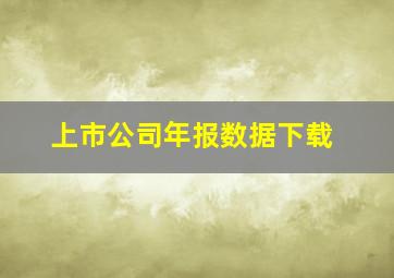 上市公司年报数据下载