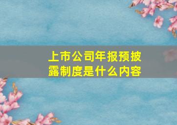 上市公司年报预披露制度是什么内容