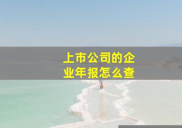 上市公司的企业年报怎么查