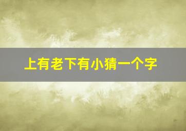 上有老下有小猜一个字