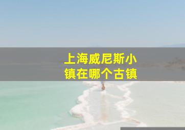 上海威尼斯小镇在哪个古镇