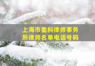 上海市盈科律师事务所律师名单电话号码