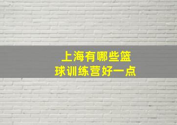 上海有哪些篮球训练营好一点