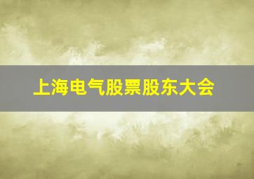 上海电气股票股东大会