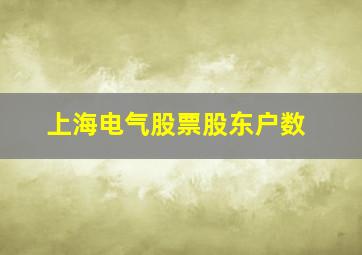 上海电气股票股东户数