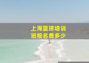 上海篮球培训班报名费多少