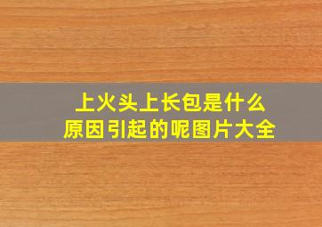 上火头上长包是什么原因引起的呢图片大全