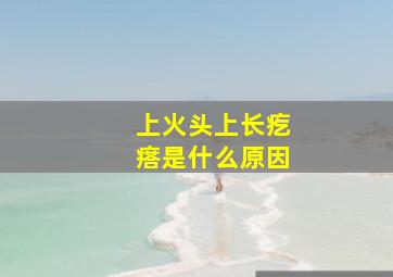 上火头上长疙瘩是什么原因