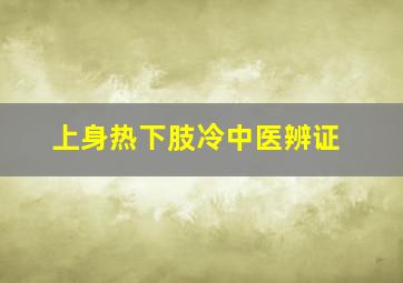 上身热下肢冷中医辨证