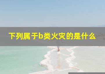 下列属于b类火灾的是什么