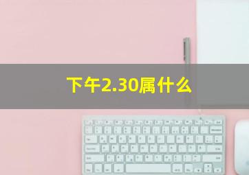 下午2.30属什么