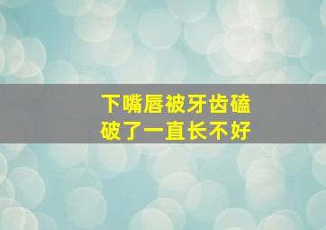 下嘴唇被牙齿磕破了一直长不好