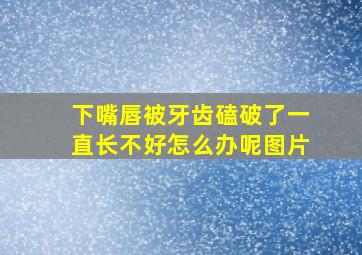 下嘴唇被牙齿磕破了一直长不好怎么办呢图片