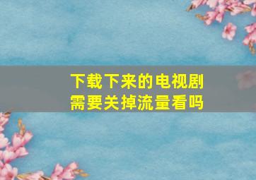 下载下来的电视剧需要关掉流量看吗