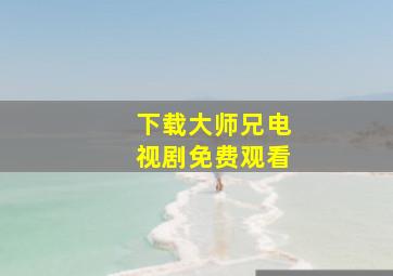 下载大师兄电视剧免费观看