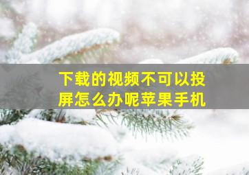 下载的视频不可以投屏怎么办呢苹果手机