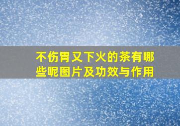 不伤胃又下火的茶有哪些呢图片及功效与作用