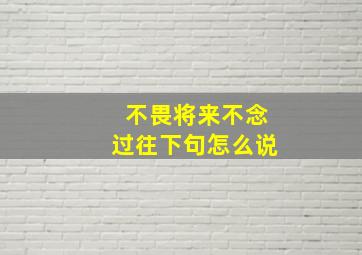 不畏将来不念过往下句怎么说