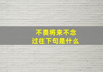 不畏将来不念过往下句是什么