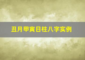 丑月甲寅日柱八字实例