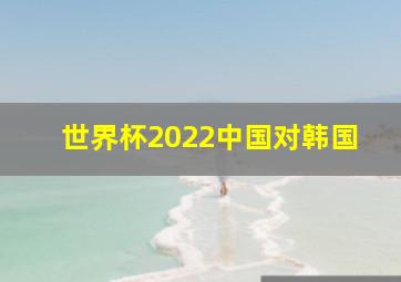 世界杯2022中国对韩国