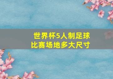 世界杯5人制足球比赛场地多大尺寸