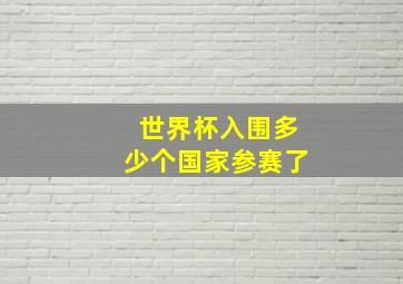 世界杯入围多少个国家参赛了